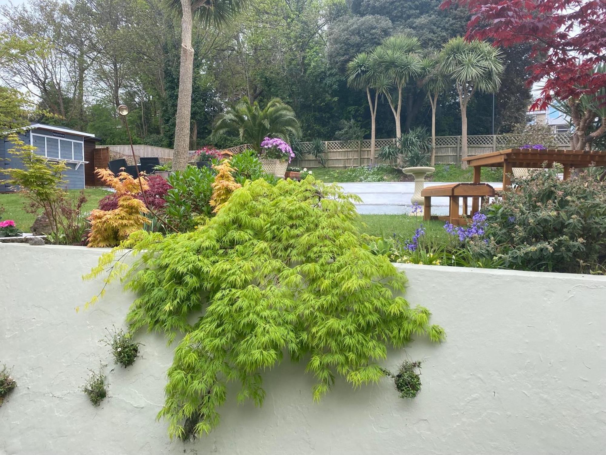 The Belmont Hotell Shanklin Eksteriør bilde