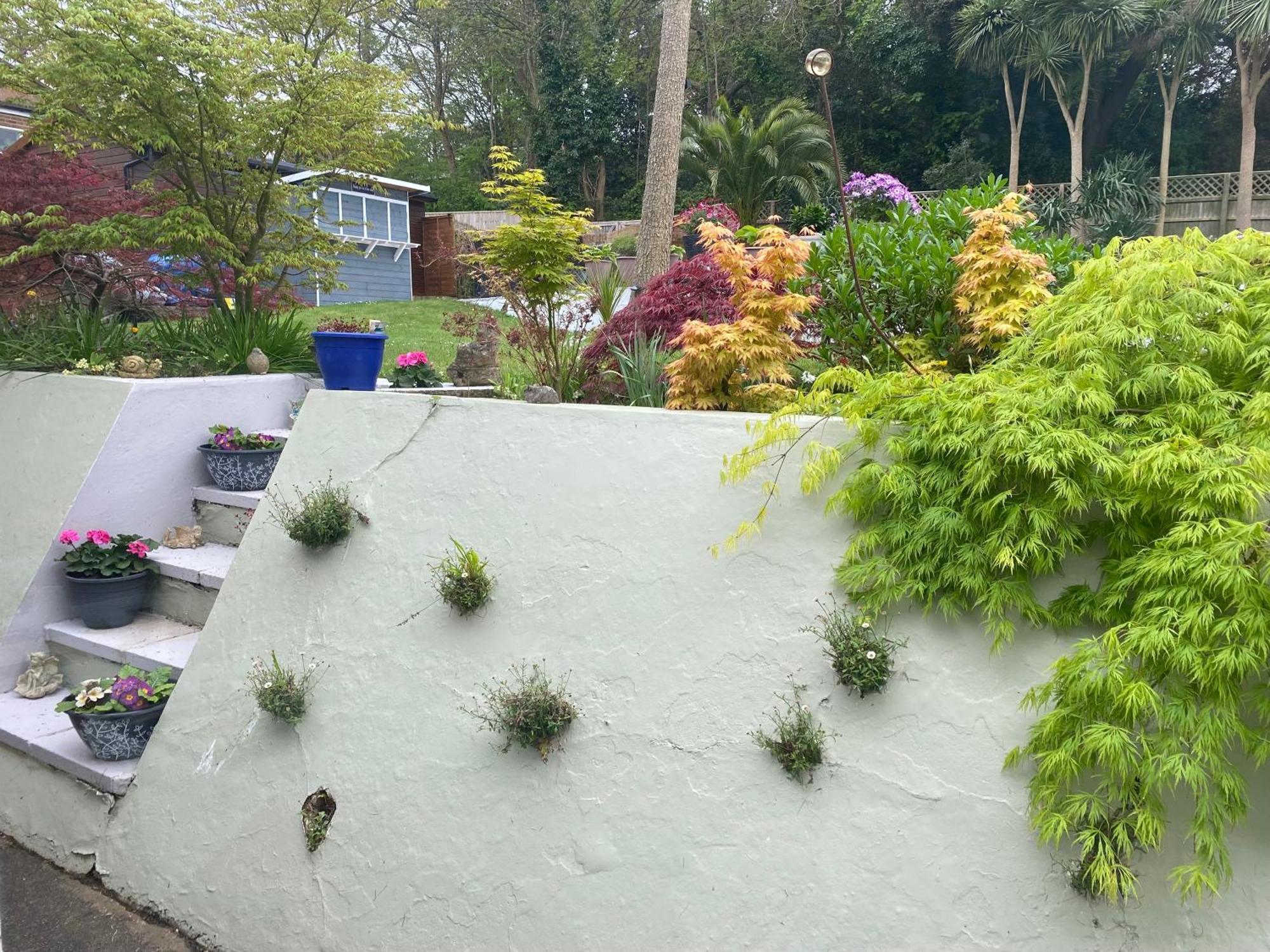 The Belmont Hotell Shanklin Eksteriør bilde